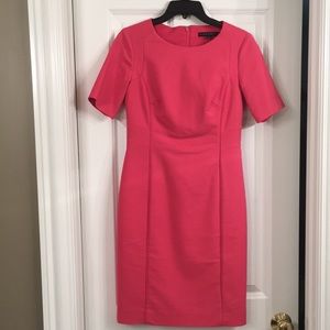 Pink Antonio Melani Dress